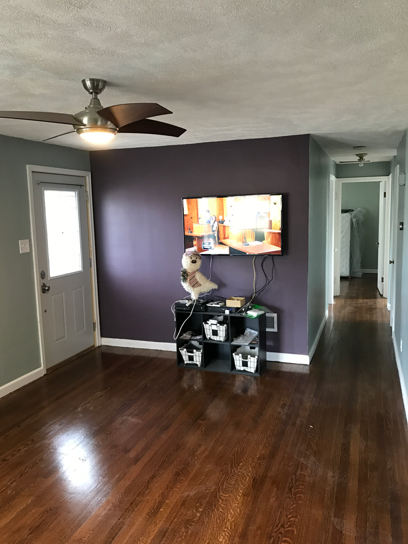 Living room, with the front door. No one really uses it, the driveway and garage are on a different side of the house.
